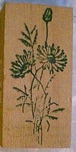 Daisy Flowers open and budding  Rubber Stamp wildflowers tall - £7.84 GBP