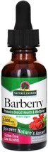 Nature&#39;s Answer Barberry Root with Organic Low Alcohol, 1-Fluid Ounce | Promotes - £21.73 GBP