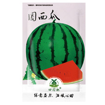 25Pcs Watermelon Seeds Organic Fruit Watermelon Fresh Seeds - £4.98 GBP