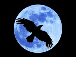 HAUNTED MARCH 7TH  100X FULL CROW MOON HIGHER POWERS MAGICK NEG CLEANSING Witch  image 2