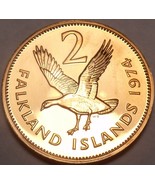 Scarce Proof Falkland Islands 1974 2 Cents~1st Year~23k Minted~Upland Go... - £8.68 GBP