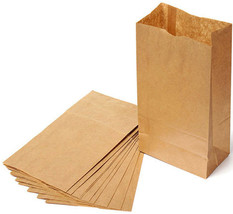 40 LUNCH BAGS Brown Kraft Paper sacks School Beer Shipping 10 5/8&quot; tall ... - $17.93