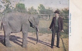 Lincoln Park Chicago Illinois IL Elephant Postcard A09 - £2.38 GBP