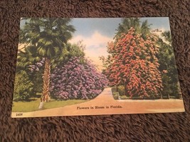 Vintage Postcard Posted 1949 Linen Flowers In Bloom In Florida - £0.73 GBP