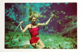 Weeki Wachee Spring of the Mermaids Florida Attraction Dexter Postcard 1950s (d) - £7.86 GBP