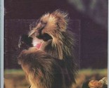 Swara East African Wildlife Society Magazine January- March 2003 - £14.25 GBP