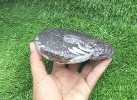 Item image 12