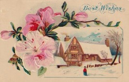 Best Wishes Pink Flowers Snow Scene 1911 Walker Missouri MO Postcard C32 - $2.99