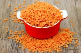 BPA 100 Seeds Red Lentil Lens Culinaris Vegetable From USA - $9.90