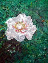 Original 8x10&quot; Single Flower Canvas Wall Art :- R Doward Fine Art - £13.37 GBP