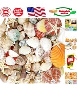 Elegant Beach Theme Decor: 100+ Pcs Ocean Starfish and Seashell Collection - $333.08 MXN