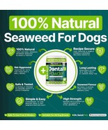 Dr Senst Plaque Off Powder Dogs 400g Dog Teeth Cleaning Products &amp; Breat... - $12.32