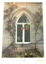 Art Photo Mrs Scott&#39;s Window Roses Scotland Signed Paul C James 5 x 7 inches - £15.35 GBP