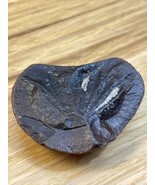 Vintage Plant Fossil Rock Leaf Imprint KG JD - $27.16 CAD
