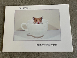 Argus Postcard Greetings from my Little World Gerbil Hamster Card Vintag... - $4.74
