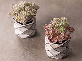 LaModaHome Succulent Ball Cement Vase Artificial Flower Boho Rare Design Decorat - £35.00 GBP