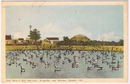 Postcard Jack Miner&#39;s Bird Sanctuary Kingsville Ontario Near Windsor - £3.11 GBP