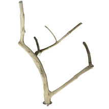 A and E Cages Java Wood Multi Branch Bird Perch MD - £21.45 GBP