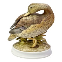 Vtg Large Mallard Duck Bisque Porcelain Andrea by Sadek Realistic Figurine *READ - £31.59 GBP