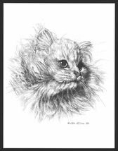 #326 WHITE PERSIAN CAT *  cat art print  *  pen &amp; ink drawing by Jan Jel... - $12.50