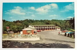 Rip Van Winkle Motel &amp; Restaurant Pool Old Cars Catskill NY UNP Postcard c1960s - £6.42 GBP