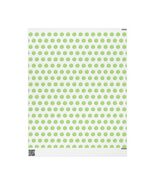 Green Limes Citrus Premium Eco-Friendly Decorative Gift Wrapping Paper - $19.80+