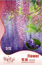 PWO Fresh Blue Chinese Wisteria Vine Wisteria Sinensis Seeds - $8.64