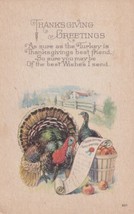 Thanksgiving Greetings Turkey Reading Proclamation Postcard D53 - £2.35 GBP