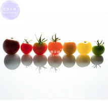 Fresh New Mixed 10 Varieties Of Colorful Cherry Tomato Seeds 10 Packs 100 Seeds/ - £32.60 GBP