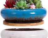 Succulent Pots - Large Succulent Planters Pots With Drainage, 6 Point 1 ... - $34.92