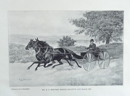 Cole and Springstein,1896 rare antique painting (Mr. E.T. Bedford behind Gillett - £14.07 GBP