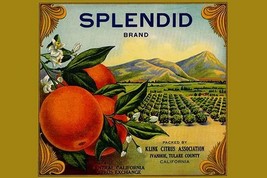 Splendid Brand Citrus - Art Print - £17.68 GBP+