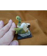 (Y-BIR-PE-402) pair of Pelicans green + white love bird gemstone STONE Peru - $335.40 MXN