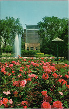 Roses &amp; English Daisies The Jewel Box in Forest Park St. Louis MO Postcard PC410 - £3.98 GBP