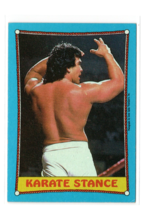 1987 Topps WWF Karate Stance #43 Ricky The Dragon Steamboat Card WWE HOF EX - £1.56 GBP