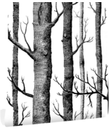 17.7&quot; X 78&quot;Birch Tree Wallpaper Trunk Black and White Wallpaper for Bedr... - £8.42 GBP