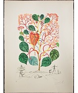 SALVADOR DALI &quot;Begonia&quot; Original,Authentic HAND SIGNED Etching Surreal - $7,821.00