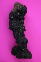 Giant Lizard Poop 5 Million Years Old Coprolite Genuine Fossil Dino Girl COA S37 - $40.87 CAD