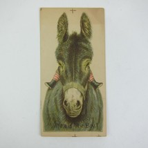 Victorian Trade Card Standard Java Coffee Chase &amp; Sanborn Boy Rides Donkey - £16.11 GBP