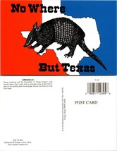 Texas(TX) Armadillo &quot;Texas Turkey&quot; No Where But Texas Vintage Postcard - £7.39 GBP