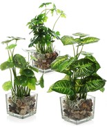 Mygift Set Of 3 Artificial Plants, Faux Tabletop Greenery With Clear Gla... - $704.88 MXN