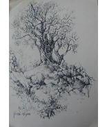 Olive tree - $343.00 CAD