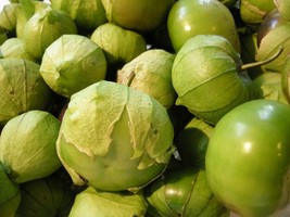 Tomatillo Verde Seeds Heirloom Fresh Culinary Delicious Green Husk Salsa - $1.92+