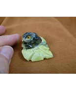 (Y-FRO-LP-176) little green Serpentine Frog on LEAF Gem gemstone FIGURIN... - $17.82 CAD