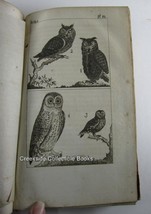 1809 Antique French Bird Book de Buffon&#39;s Histoire Naturelle - $40.69