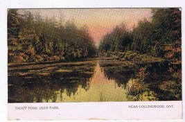 Postcard Trout Pond Deer Park Near Collingwood Ontario Warwick Bros &amp; Rutter  - $7.91