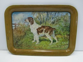 1940s Tin Litho Tray English Springer Spaniel Hunting Dog by Ole Larsen ... - $21.46