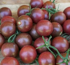 Seeds 20 Black Cherry Tomato Indeterminate Vegetable Garden Salad - £7.71 GBP