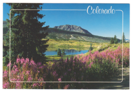 Vtg Postcard-Upper Molas Lake-Million Dollar Highway-Colorado-6x4 Chrome... - £3.99 GBP
