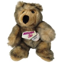 Althans Club Brown Long Nose Bear Teddy Plush Stuffed Animal Vintage 9in Sitting - £25.48 GBP